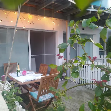 Studioul Vacantelor Din