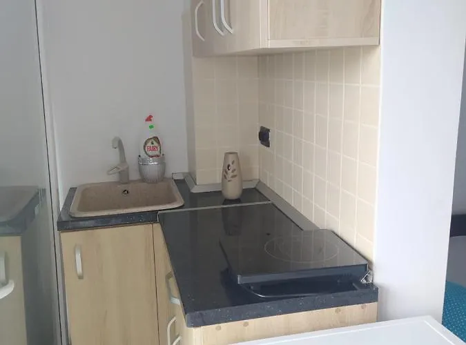 Studioul Vacantelor Din *